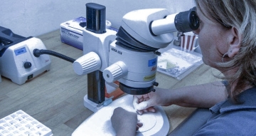 Testing & measurement Facilities operational Testing & measurement Facilities operational