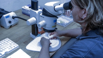 testing procedures testing procedures